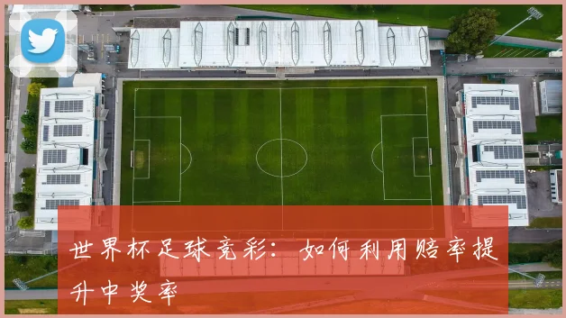 世界杯足球竞彩:如何利用赔率提升中奖率