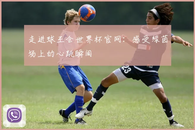 走进球王会世界杯官网:感受绿茵场上的心跳瞬间