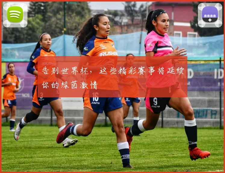 告别世界杯,这些精彩赛事将延续你的绿茵激情