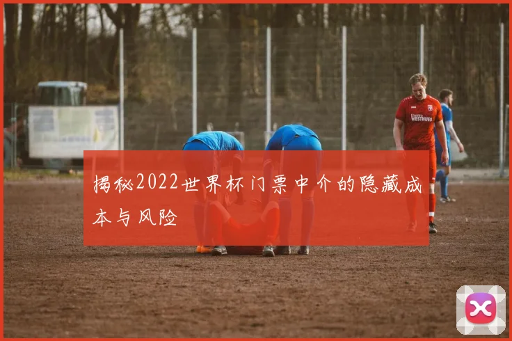 揭秘2022世界杯门票中介的隐藏成本与风险