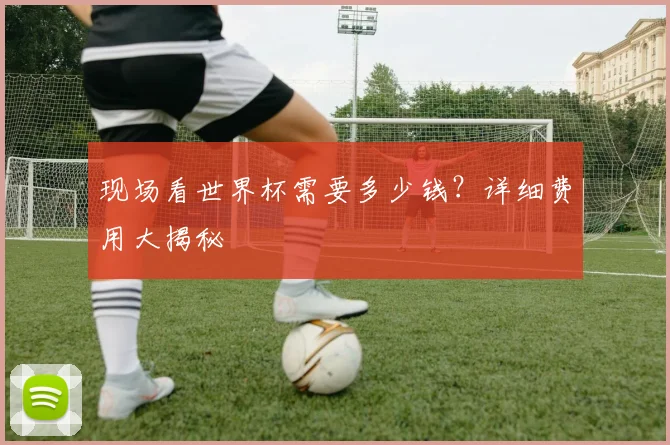 现场看世界杯需要多少钱?详细费用大揭秘