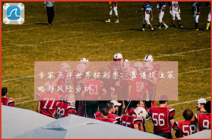专家点评世界杯彩票:靠谱投注策略与风险分析