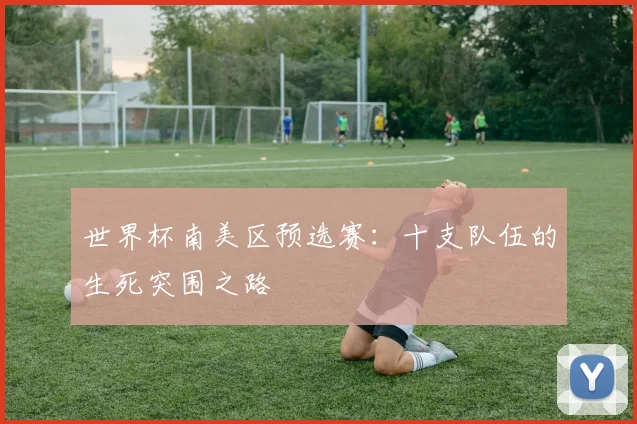 世界杯南美区预选赛:十支队伍的生死突围之路