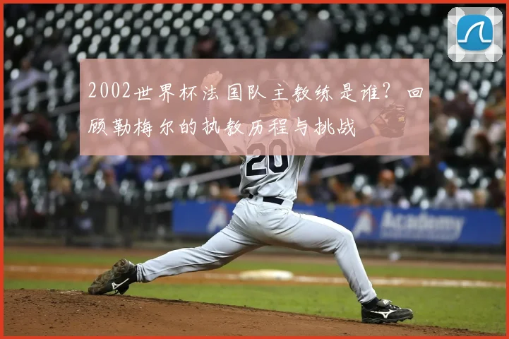 2002世界杯法国队主教练是谁?回顾勒梅尔的执教历程与挑战