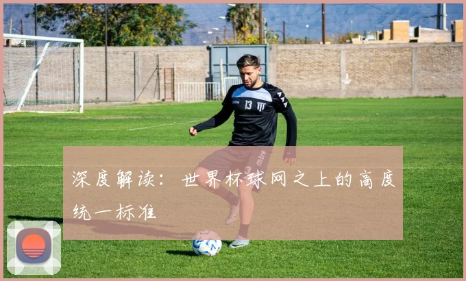 深度解读：世界杯球网之上的高度统一标准