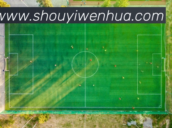 多媒体互动体验